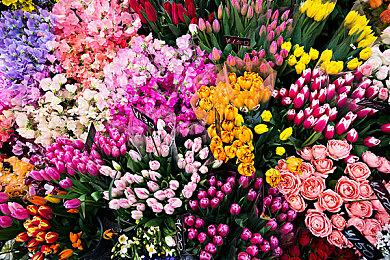 云顶之弈S8.5德莱文阵容搭配，S8.5德莱文阵容装备站位攻略